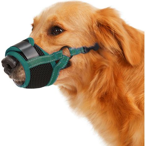 1 muselière pour chien, souple en maille respirante, anti-aboiement et anti-mâchouillage, idéale pour toilettage et visite vétérinaire (1/5)