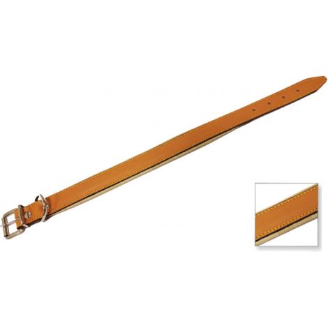 Collare Cani Cuoio Imbottito Mm 30 Cm 60 (1/5)