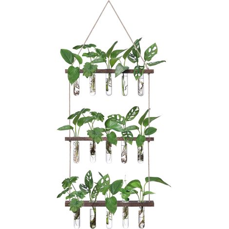 Station de propagation murale à suspendre avec support en bois à 3 niveaux, 15 tubes à essai, vase de fleurs, station de pot de fleurs en verre pour la maison, le bureau, la décoration (1/5)