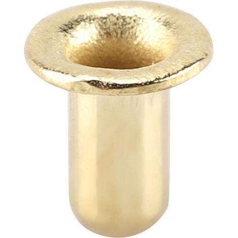 Oeillets de Cadre d'abeille de Trou en Laiton, Oeillets de Cadre de nid d'abeille de Ruche de Ruche d'abeille Outils apicoles d'apiculteurs(1000pcs) (1/5)