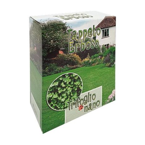 SEME PRATO TRIFOGLIO REPENS NANO - GR 500- 2 pezzi