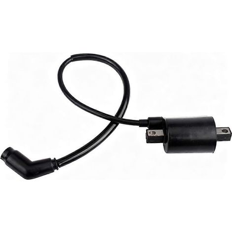 Bobines d'allumage de remplacement pour Lin Hai 260, également compatibles avec les modèles GIO Bear, Daymak Grunt et Midwest ATV/UTV. (1/5)