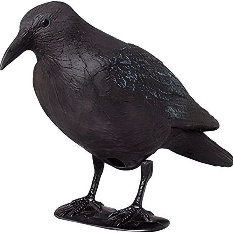 Corbeau - Plastique - Répulsif Oiseaux Jardin Balcon Terrasse - 38 Cm - 1 Pièce