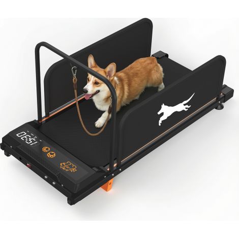 Cinta de correr para perros pequeños, edición 2026: máquina de entrenamiento para mascotas de alta calidad y bajo nivel de ruido para el entrenamiento de cachorros en interiores, rueda de ejercicio po (1/5)