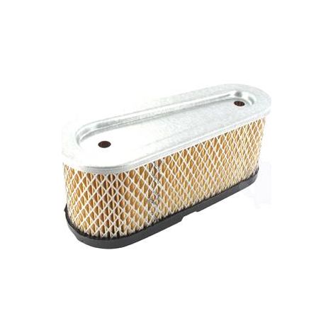 Filtre A Air Tecumseh (36356)
