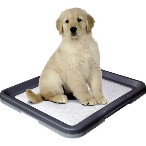 Nobby Doggy Trainer Ersatzpads 24 Stück Größe L Pflege & Hygiene
