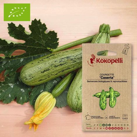 Courgette Caserta