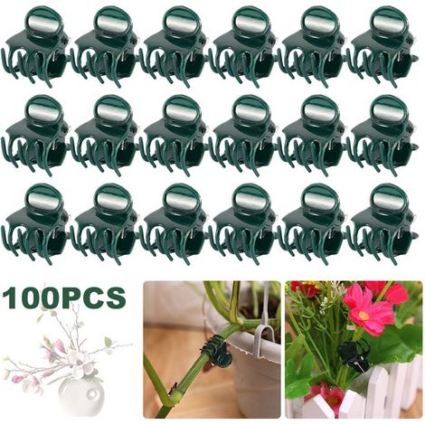 Ensemble de 100 clips pour plantes — Clips pour orchidées, supports pour plantes et clips pour vrilles — Clips de fixation adaptés aux serres, spécialement conçus pour soutenir les tiges, les vrilles (1/5)