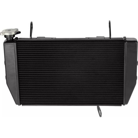 Radiatore d'acqua per Ducati Multistrada 1200/S 10-14