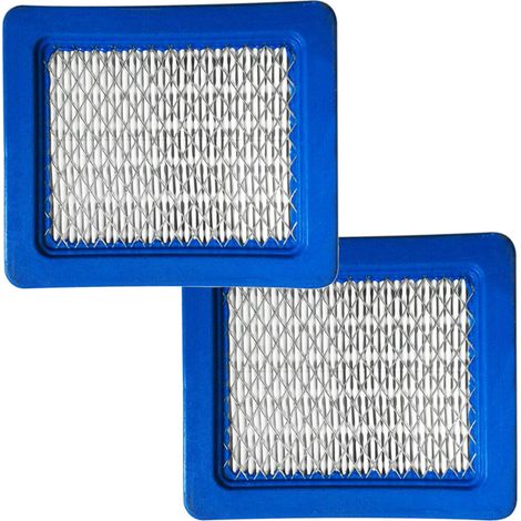 2x Papier-Luft-Filter für Briggs & Stratton 130200 135200 138400 150100 150200 150300 201300 201400 202300 202400 203400 204300 204400 205300 205400 210300 210400 212300 212400 213400 216100 216300