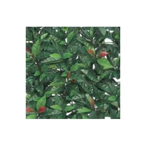 Siepe artificiale PHOTINIA 100x100cm EFFETTO REALISTICO (1/4)