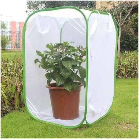 pair Cage d\\'élevage - KOA - Pliable et portable - Filet en polyester - Ventilée - Réutilisable (1/4)