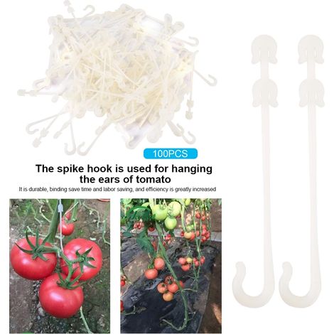 Supports pour plants de tomates cerises et de tomates grimpantes (1/5)