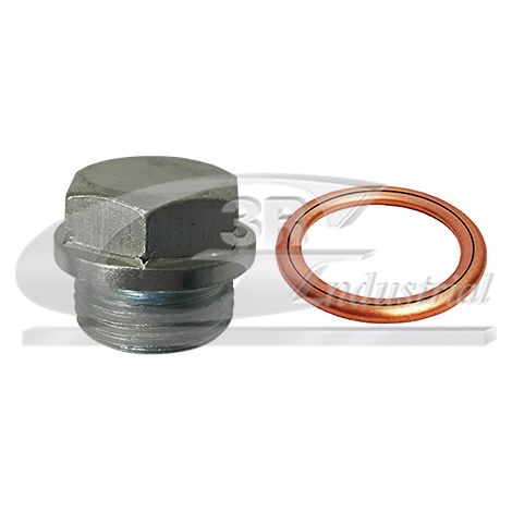 3RG 83401 KIT TAPÃƒâ€œN CÃƒÂRTER Y JUNTA (2PCS)