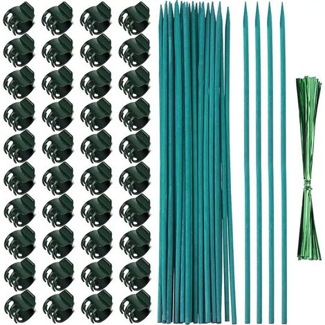 30cm plant supports and clips, green supports for garden climbing plants. (1/5)