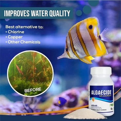 50 g Algizid für Aquarien, Algenentferner für Fischbecken, Wasserreiniger (1/5)
