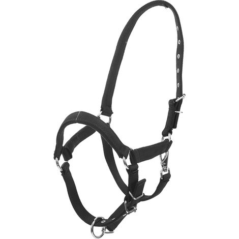 Pour Chevaux Nylon Licol Portable Sécurisé Pour Équitation Et Activités Plein Air Adapté Aux Chevaux Miniatures (1/5)