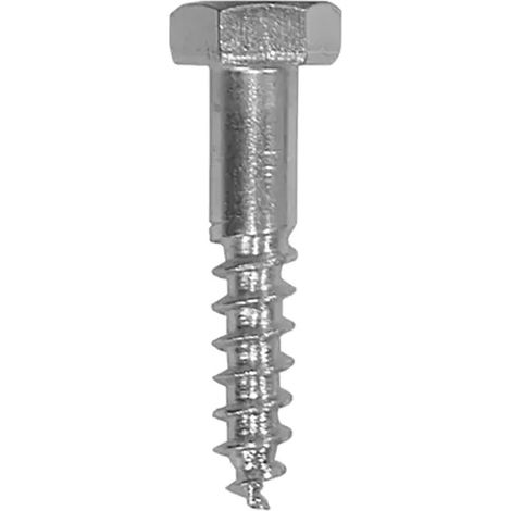 Tirefond Pwd 10/50 - 50X10 mm Galvanisé (33 Pcs/1 Kg) - D-Work