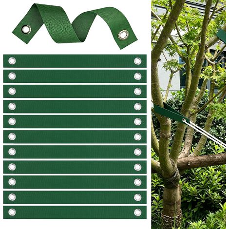 12 Pièces Sangles d'arbre, Sangles de Soutien pour Arbre avec œillets,Attaches pour Arbres, Sangle Arbre Tuteur pour Jeunes Arbres Nouvellement,Liens pour Arbres de Jardin (1/5)