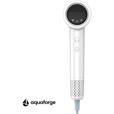 Sèche cheveux portable sans balais 110000 tr min ions négatifs (1/5)