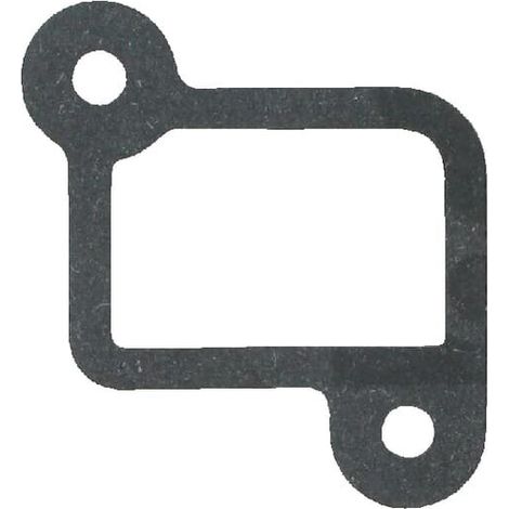 Ansaugdichtung BRIGGS ET STRATTON 594203WM