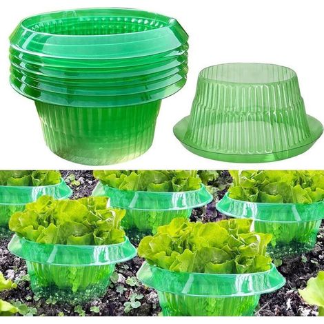 6 colliers anti-limaces et escargots – Protection natur pour plantes, sans produits chimiques, idéal pour potager et jardin (lot de 6) (1/4)