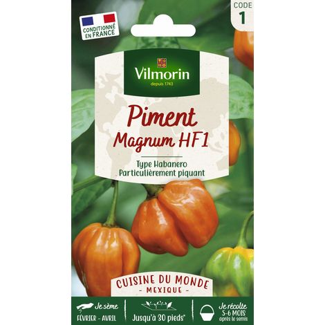 Piment Magnum HF1 - Cuisine du Monde Vilmorin (1/2)