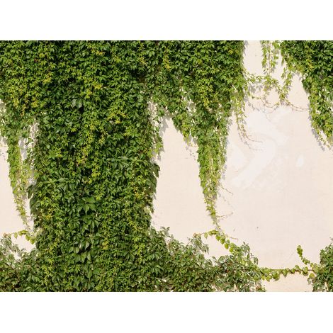 BRICOFLOR Papier peint The Wall II 392271 (1/3)