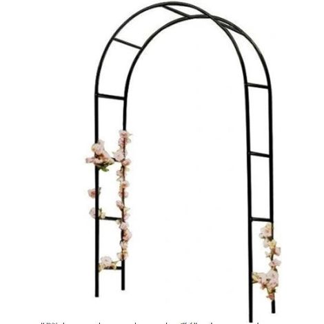 Filiyano-Arche de jardin en fer noir 240x140x38 cm pour plantes grimpantes (1/5)