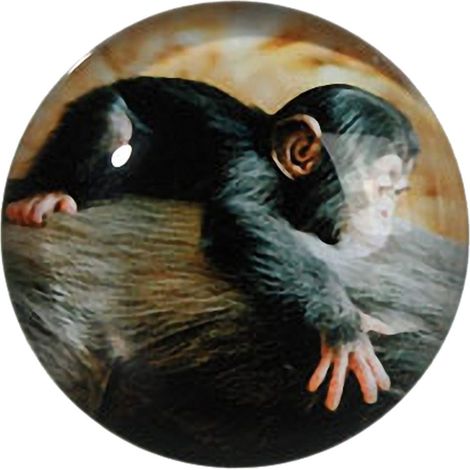 Petit magnet en verre rond Singe