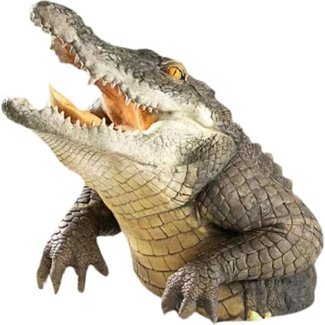 Statue d'animal Tête de Crocodile Flottante pour Jardin et Bassin Décor Extérieur Résine Couleur Naturelle Unique Solide (1/5)