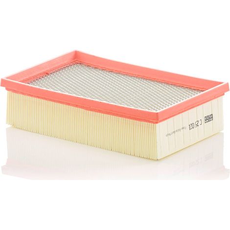 Filtre à air Mann Filter C25021