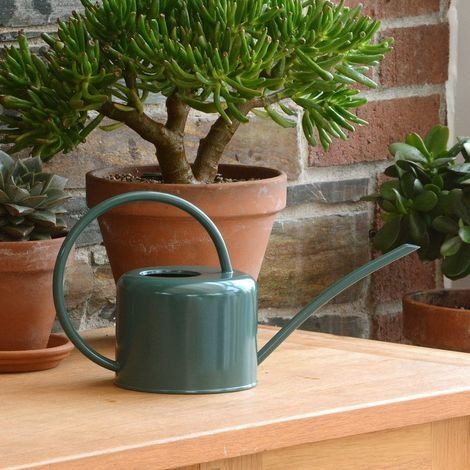 Petit arrosoir d'intérieur de 1,1L en acier galvanisé avec revêtement en poudre de couleur craie, pour plantes d'intérieur design contemporain en métal avec bec étroit et poignée haute (vert) (1/5)