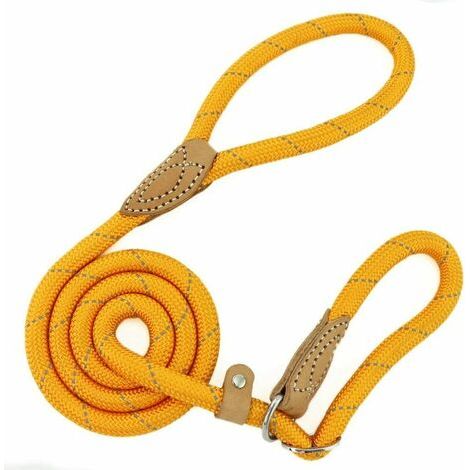 Ulisem Hundetrainings-Lassoleine, reflektierende Leine für kleine, mittlere, große und sehr schwere Hunde - 1,0 cm Durchmesser x 150 cm Länge (Orange) (1/5)