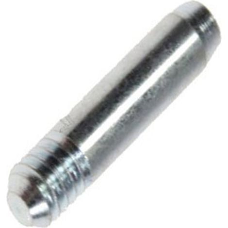 Ersatzteil - Scharnierbolzen, original -  - INDESIT, ARISTON HOTPOINT, WHIRLPOOL, SCHOLTES, PRIVILEG, BAUKNECHT, AEG, IGNIS, 2I MARCHI