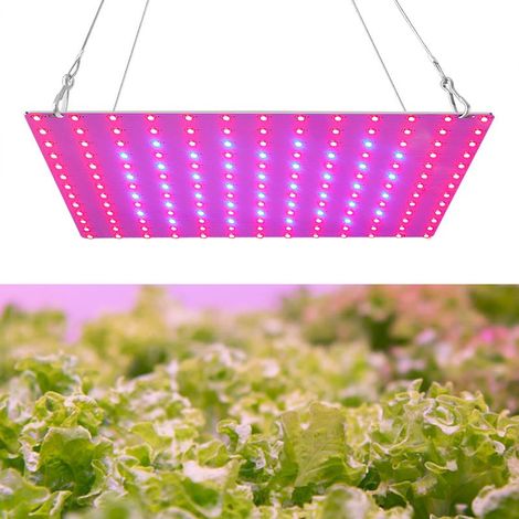 LED Grow Lights, Full Spectrum, Light Blue (1/5)