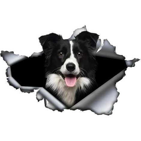 CCYKXA Car Sticker 25cm(9.8inch) Funny Border Collie Sticker Border Collie Car Sticker Pet Dog Waterproof Sticker 3D Torn Metal Stickers (1/4)