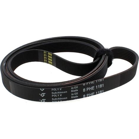 Belt L=1181 Mm H8 for Hotpoint/Indesit/Ariston Washing Machines
