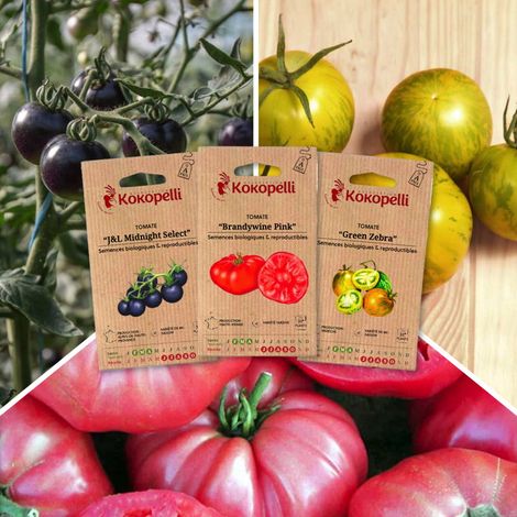 Tomates colorées - 3 sachets de graines bio à semer (1/2)