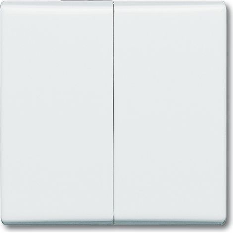 BUSCH-JAEGER 2105-32 PLAQUE DE RECOUVREMENT, COMMUTATEUR MULTIPLE, COMMUTATEUR INVERSEUR DOUBLE, BOUTON-POUSSOIR DOUBLE, BLANC, (1/3)