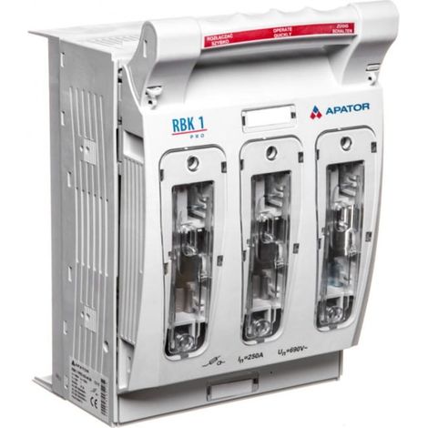 Sicherungstrennschalter 250A RBK 1 pro-SG-M 60 /Schraubklemmen M 35-120mm2/ 63-811750-051