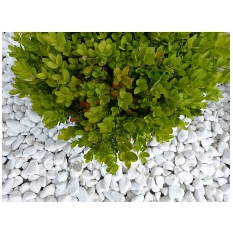 Kieselstein in glänzendem Weiß 12-24 - Pack 5 M² - 10 Säcke - 200 kg