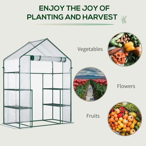 Mini-serre de plain-pied avec 4 étagères, porte enroulable et bâche transparente résistante aux intempéries pour le jardinage et l'entretien des plantes (1/5)