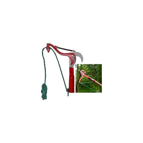 Cueille-fruits télescopique, sécateur télescopique, ébrancheur sur perche, scie d'élagage télescopique, sécateur