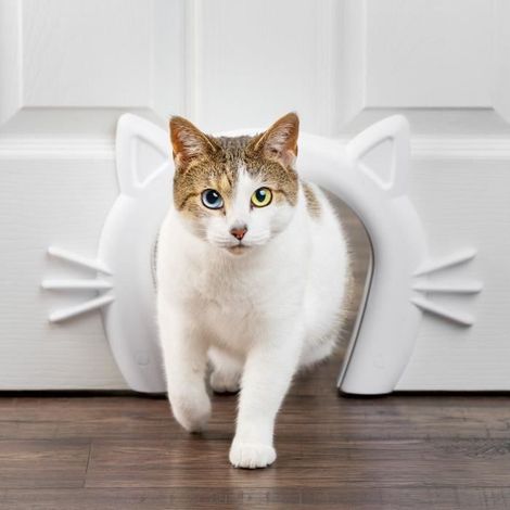 Passage pour chat - PETSAFE - CAT CORRIDOR™ - Blanc (1/5)