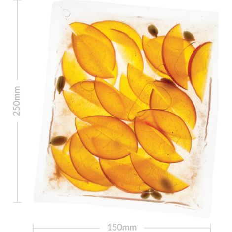 Sac Sous-Vide 150 mm x 250 mm - Boîte de 200 - SousVideTools (1/5)