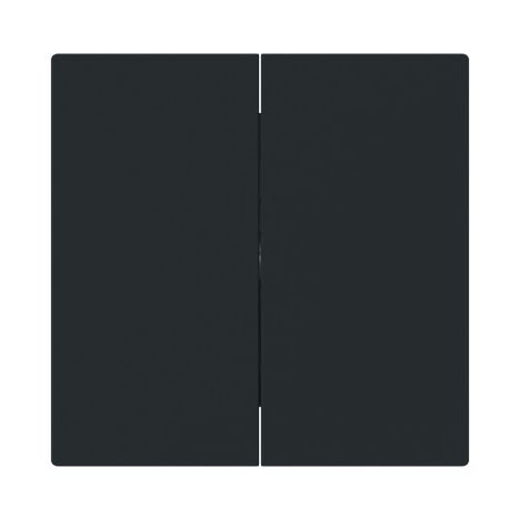 Busch-Jaeger Bascule pour interrupteur/bouton poussoir, 2 fois noir mat - Busch-art linear® (1785-45M), 2CKA001751A3388