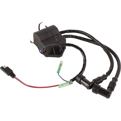 Boîtier CDI pour moteur hors-bord 32900-93903, compatible avec les moteurs hors-bord Suzuki 9,9 CV et 15 CV DT9.9 et DT15 (1/5)