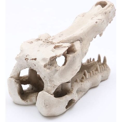 Crâne De Crocodile - Décor En Résine Pour Aquarium D'eau Douce - Modèle Réaliste De Tête De Crocodile - 1 Pièce (1/5)