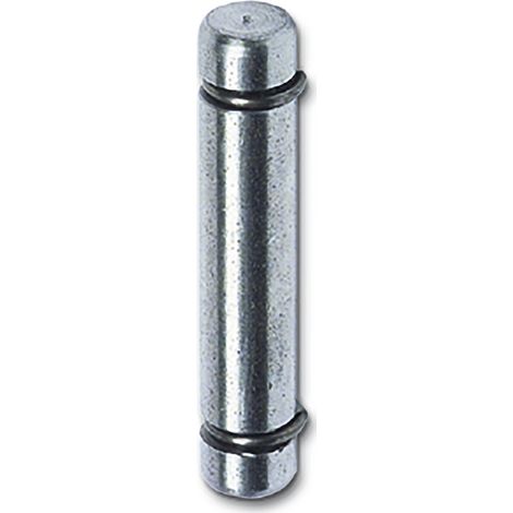 Stift mit Einschlaghülse 9 mm Hülse 13 mm Stahl verzinkt/Kunststoff